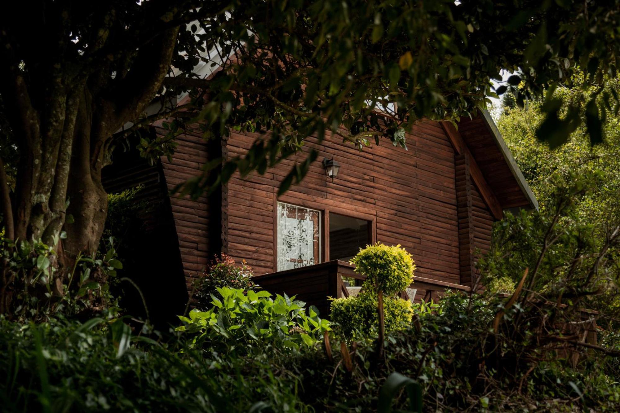 Viewpoint Estate Accommodation Haenertsburg Exterior foto